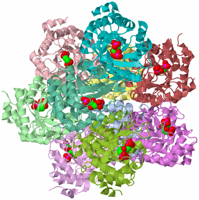 Image Biological Unit 1