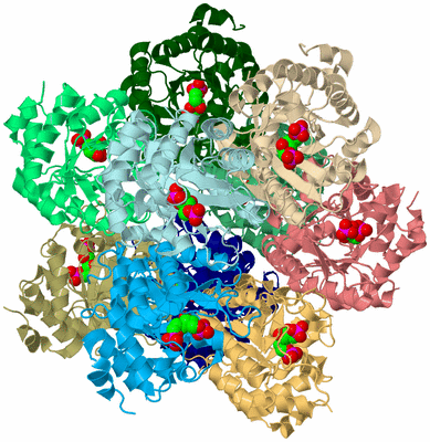 Image Biological Unit 2