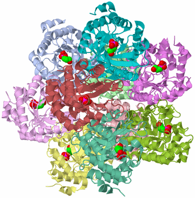 Image Biological Unit 1