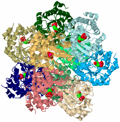 Image Biological Unit 2