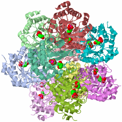 Image Biological Unit 1