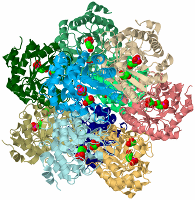 Image Biological Unit 2