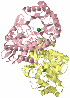 Image Biological Unit 2