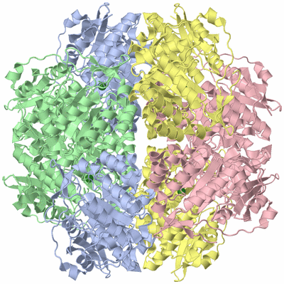 Image Biological Unit 3