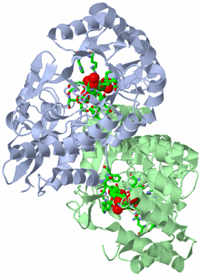 Image Biol. Unit 1 - sites