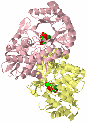 Image Biological Unit 2