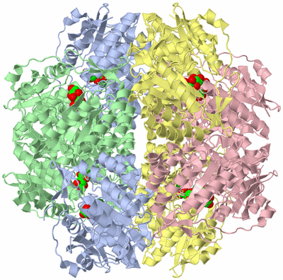 Image Biological Unit 3