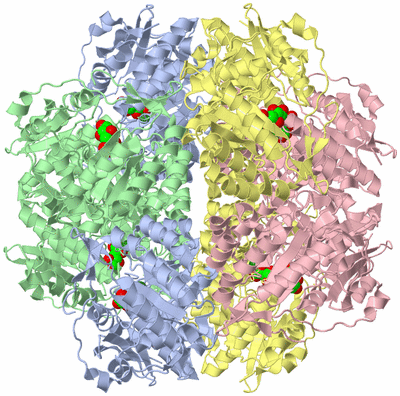 Image Biological Unit 3