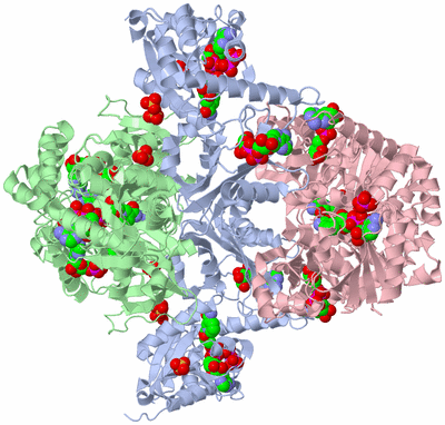 Image Biological Unit 1
