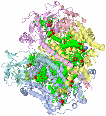 Image Biol. Unit 1 - sites