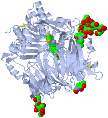 Image Biological Unit 1