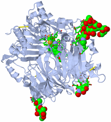 Image Biol. Unit 1 - sites