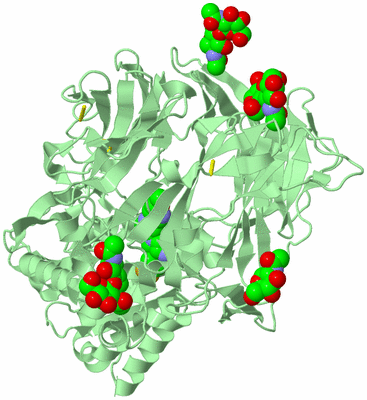 Image Biological Unit 2