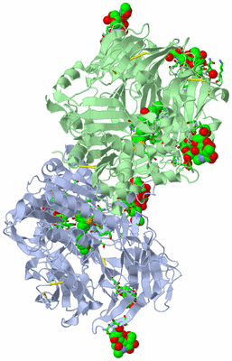 Image Asym. Unit - sites