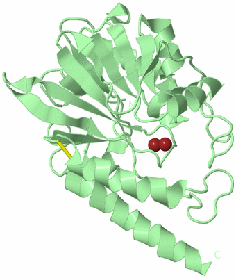 Image Biological Unit 3