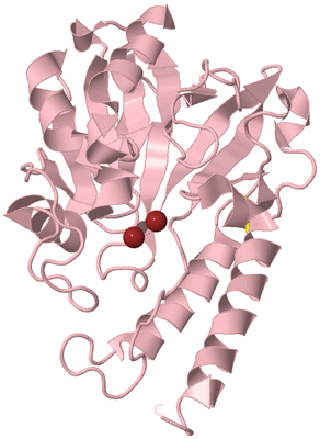 Image Biological Unit 4