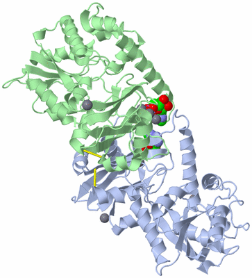 Image Asym./Biol. Unit