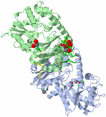 Image Asym./Biol. Unit - sites