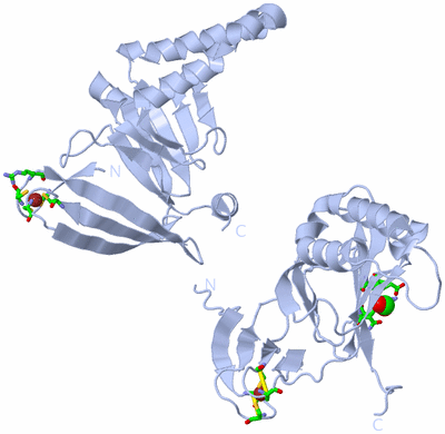 Image Biol. Unit 1 - sites
