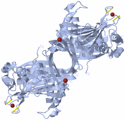 Image Biological Unit 2