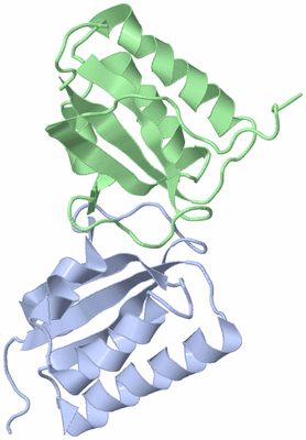 Image Biological Unit 3