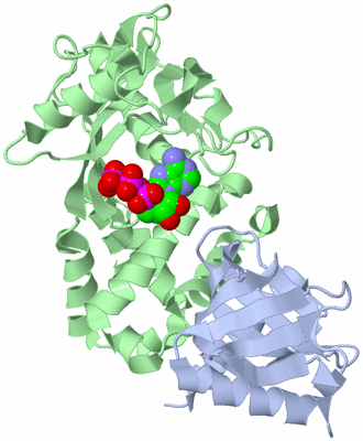 Image Biological Unit 1