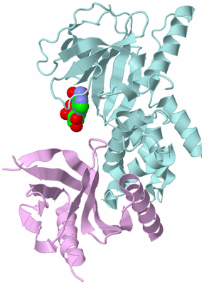 Image Biological Unit 2