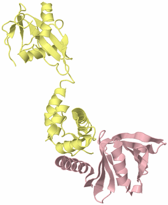 Image Biological Unit 3