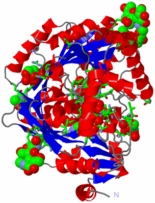 Image Asym./Biol. Unit - sites