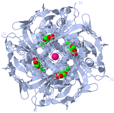 Image Biological Unit 1