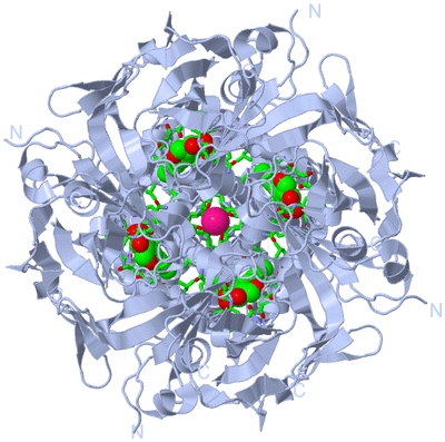 Image Biol. Unit 1 - sites