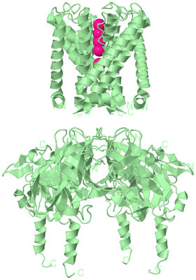 Image Biological Unit 2