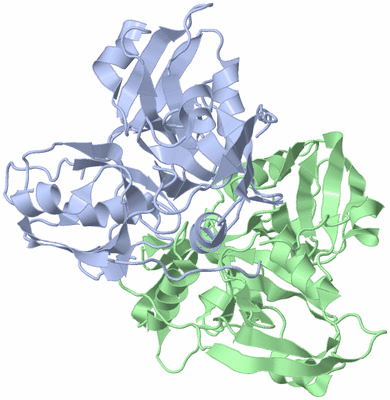 Image Biological Unit 1
