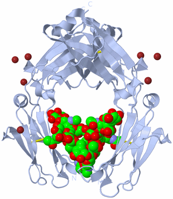 Image Biological Unit 1