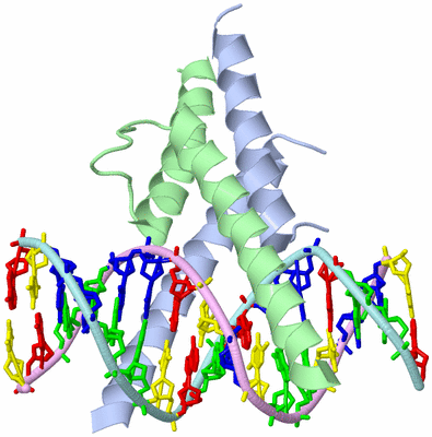 Image Biological Unit 1