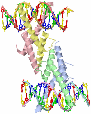 Image Biological Unit 3