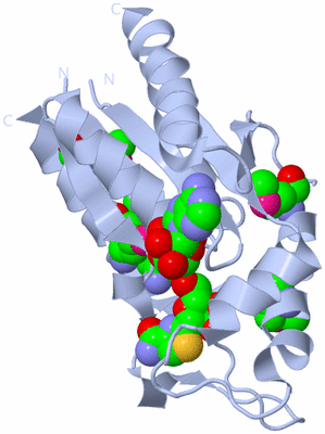 Image Biological Unit 1
