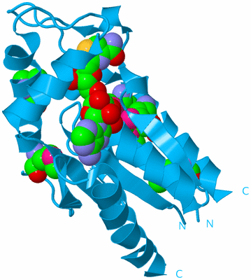 Image Biological Unit 10