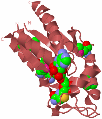 Image Biological Unit 11