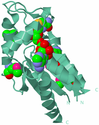 Image Biological Unit 12