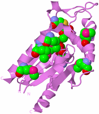 Image Biological Unit 14