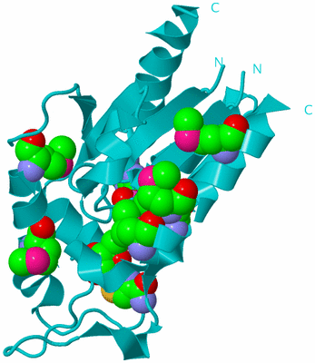 Image Biological Unit 15