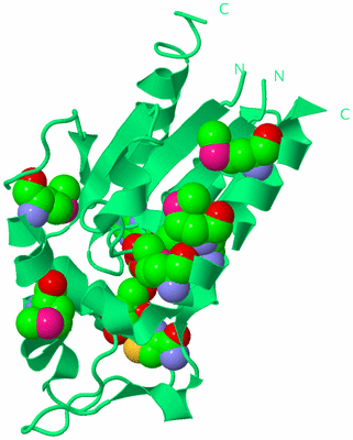 Image Biological Unit 16
