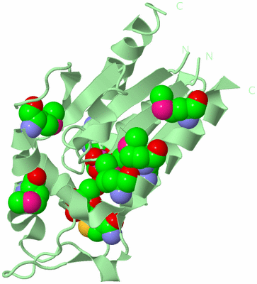 Image Biological Unit 2