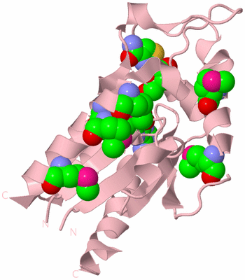 Image Biological Unit 3