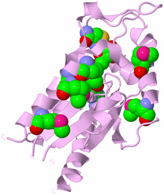 Image Biological Unit 5