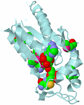 Image Biological Unit 6