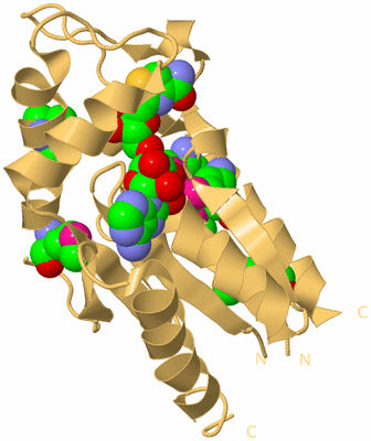 Image Biological Unit 7