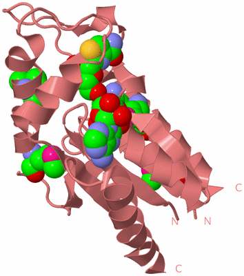 Image Biological Unit 8
