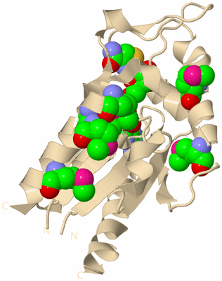 Image Biological Unit 9